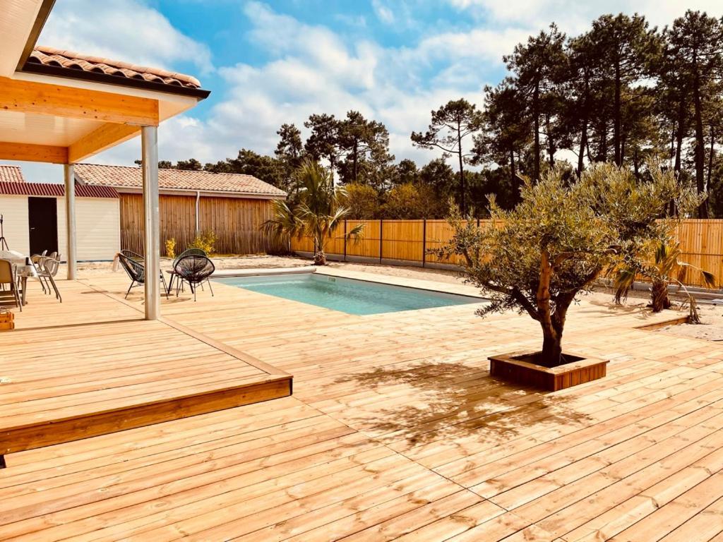 Villashomeclet - Villa Palm Beach Vensac Екстер'єр фото